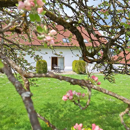 Gasthaus-pension-ferienwohnung Zum Engel