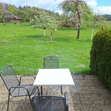 Apartment Gasthaus-pension-ferienwohnung Zum Engel Waldbrunn (Baden-Wurttemberg)
